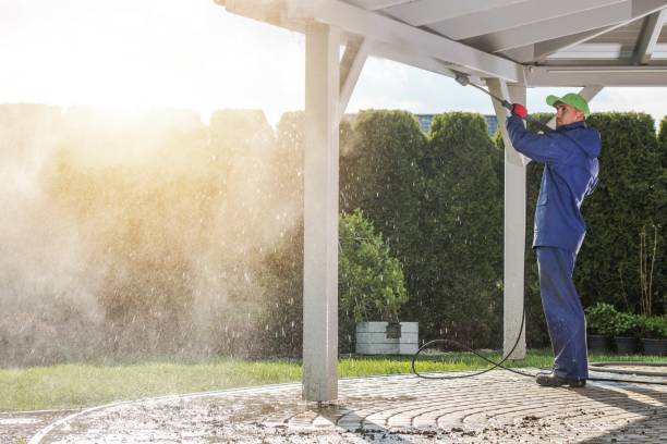 Best Dumpster Area Cleaning  in Isle Of Palms, SC